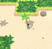 Alone On Island