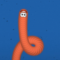 Worms Zone io